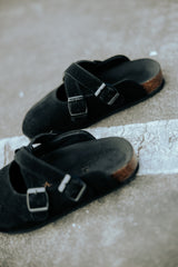 Parisian Marys Alby x TBG